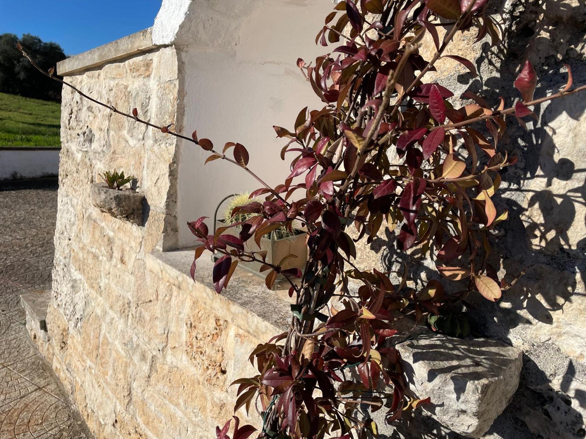 Trulli Del Sole Villa Martina Franca Exterior photo