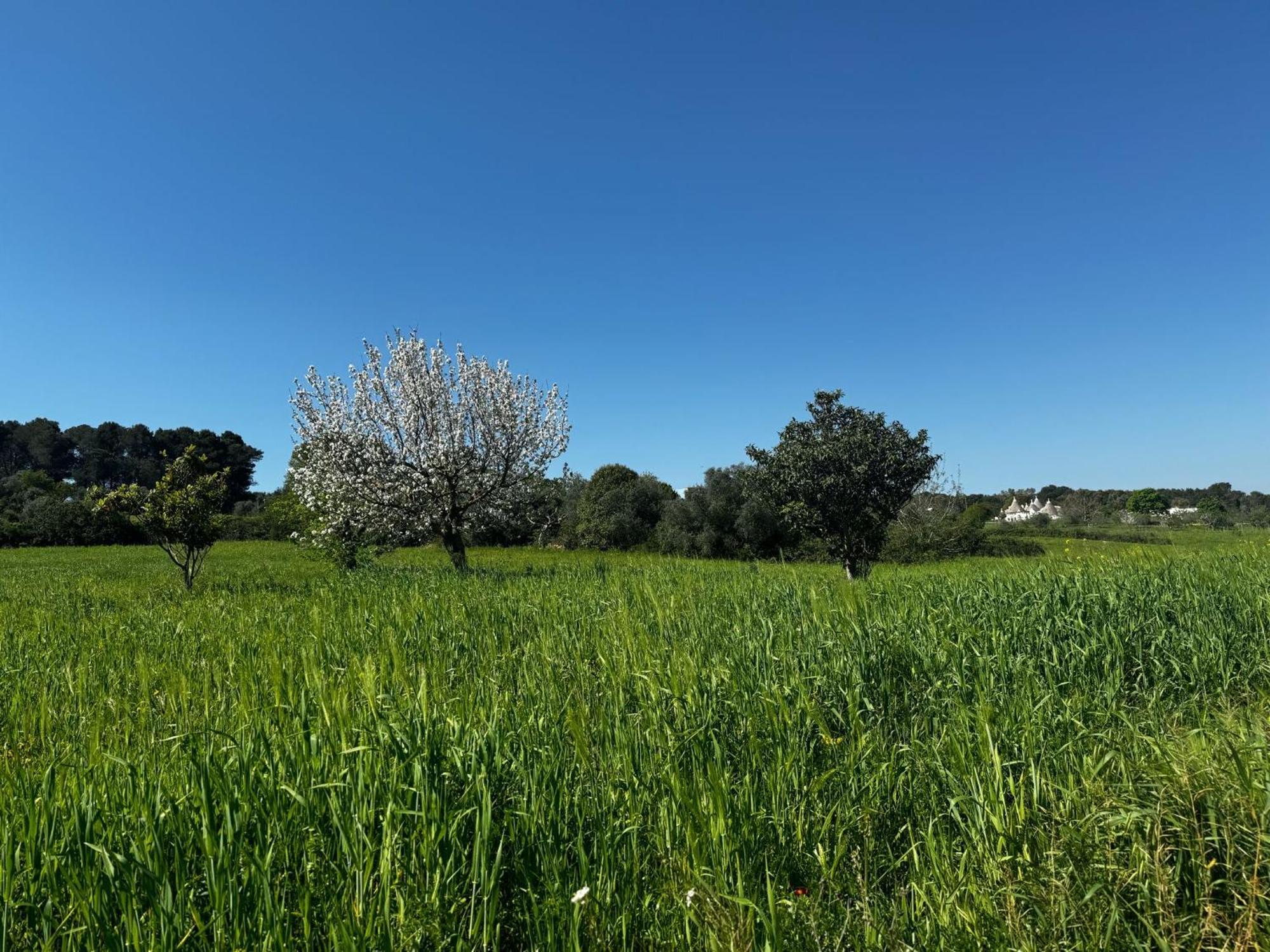 Trulli Del Sole Villa Martina Franca Exterior photo